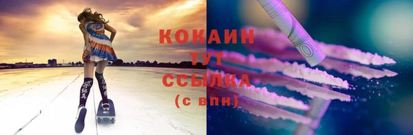 дурь Каменка
