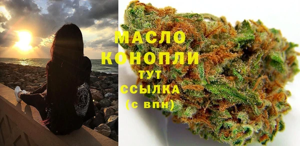 дурь Каменка