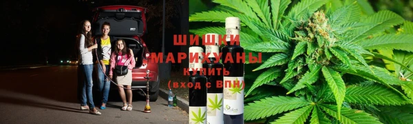 дурь Каменка